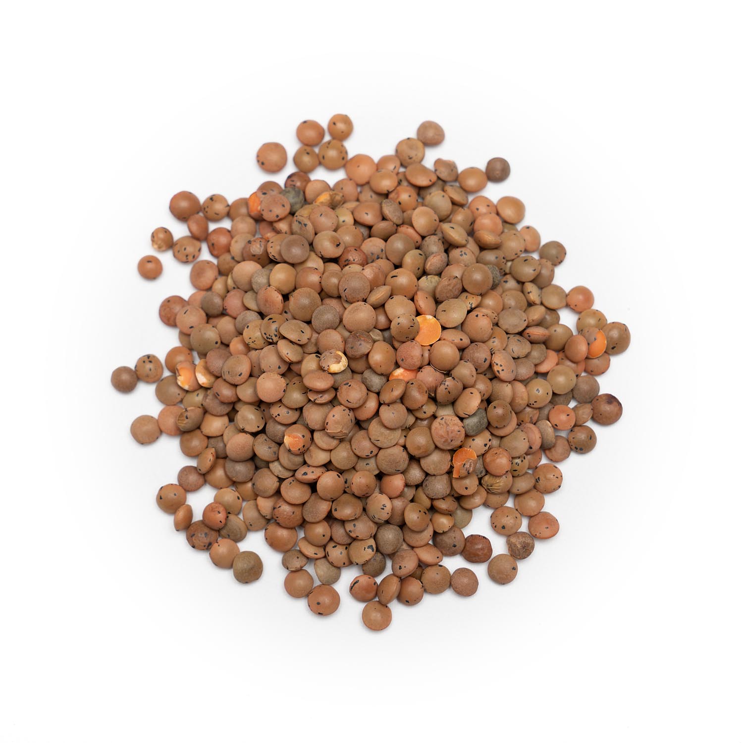Organic Brown Lentils - Image 3